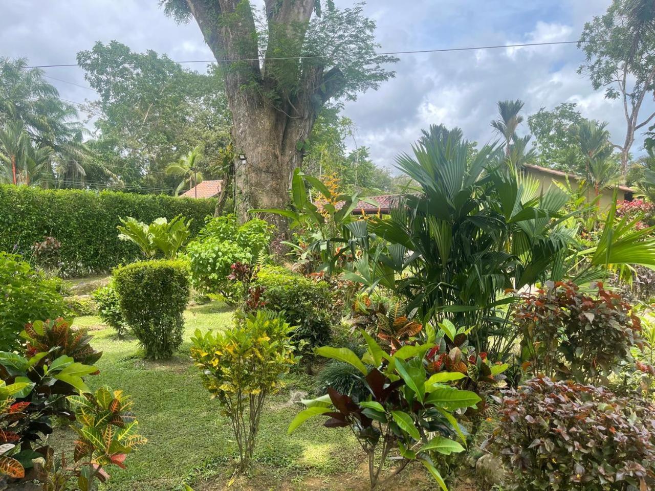 La Foresta Nature Resort Quepos Exterior photo